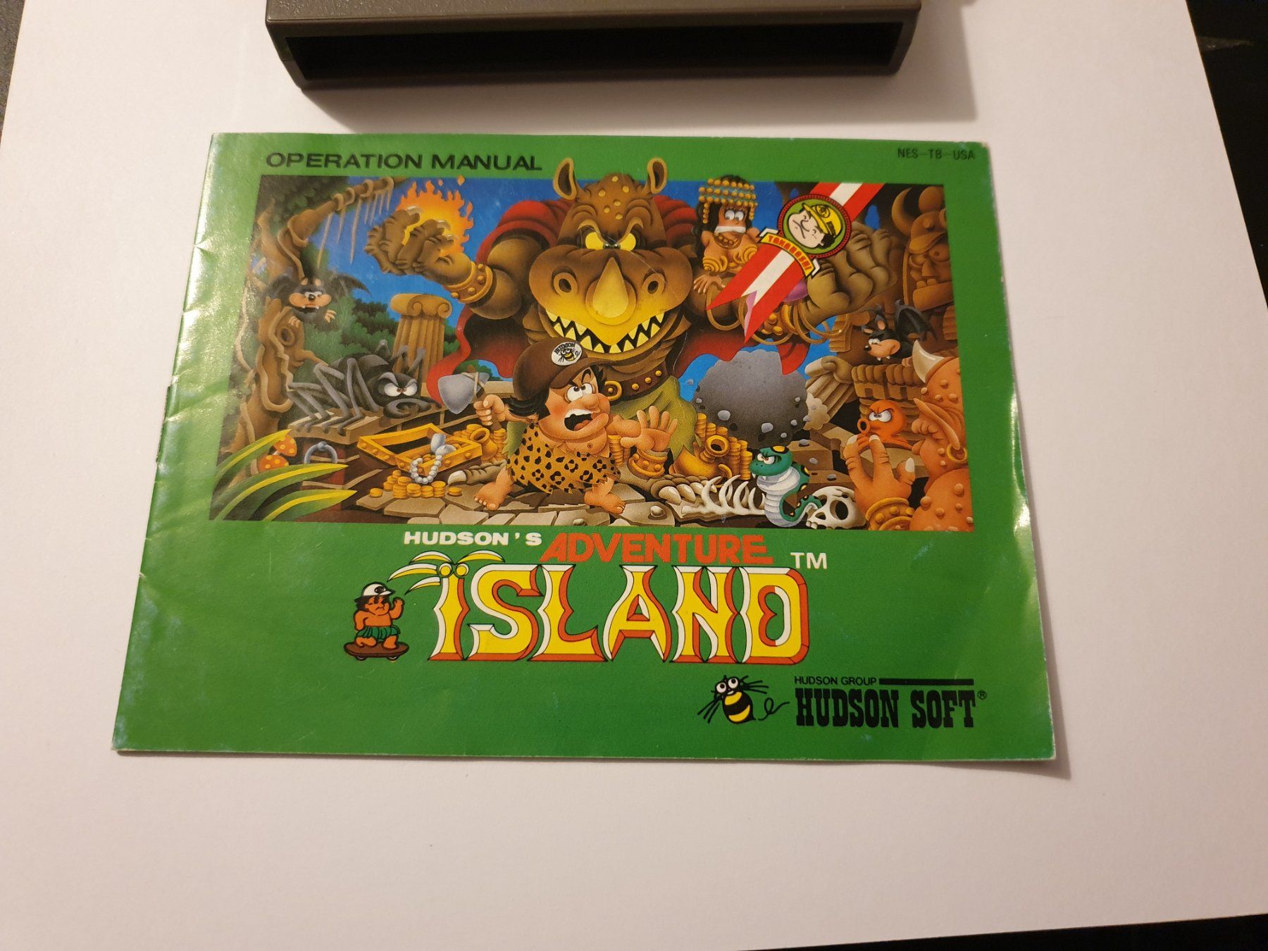 Giochi: Adventure Island Nintendo NES NTSC – Usato da Rain venduto da Laupia 2