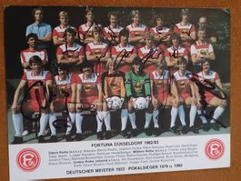 Fortuna Düsseldorf - 1982/83