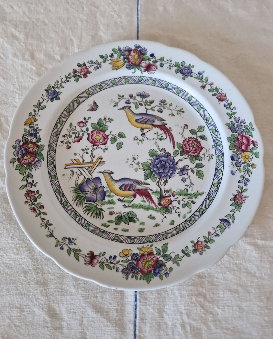 Spode Piatti: Spode Teller Antik – Usato da Bern venduto da Antikbatik 2