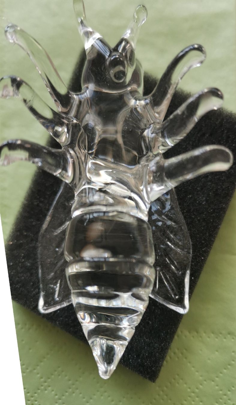 Glasi Hergiswil Bicchieri: Die Glasbiene von Glasibläserei Hergiswil – Nuovo e nell'imballaggio originale da Seuzach venduto da Tritis01 1