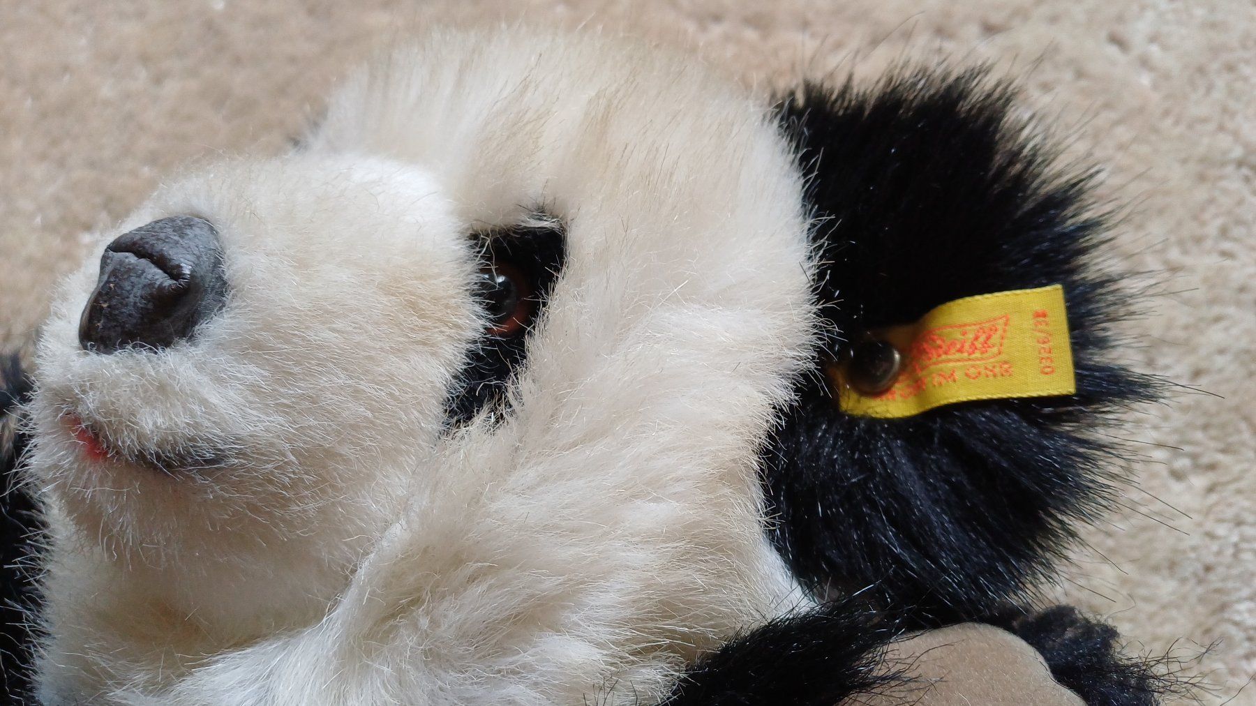 Steiff Spielzeuge: Steiff Peluche Panda 1965-1967 – Gebraucht aus geneve von vinc_bob 1