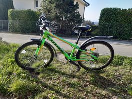 Kindervelo Stevens 24"