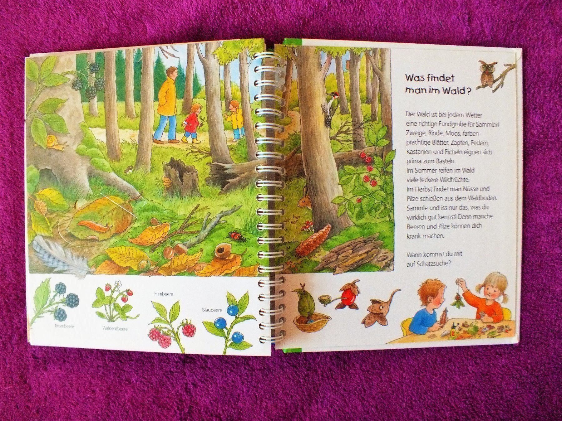 Libri: Wieso Weshalb Warum Junior Buch - Der Wald – Usato da Müllheim Dorf venduto da Seeeule01 7