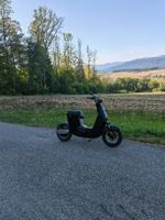 Elektroroller Yadea V7 25 km/h schwarz guter Zustand
