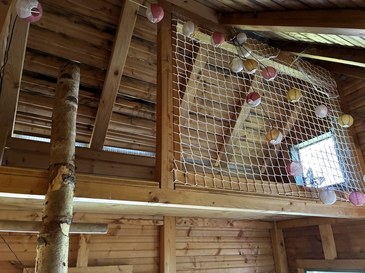 Casette per bambini: Spielhaus zu Verkaufen – Usato da Dörflingen venduto da Dommervogel 8