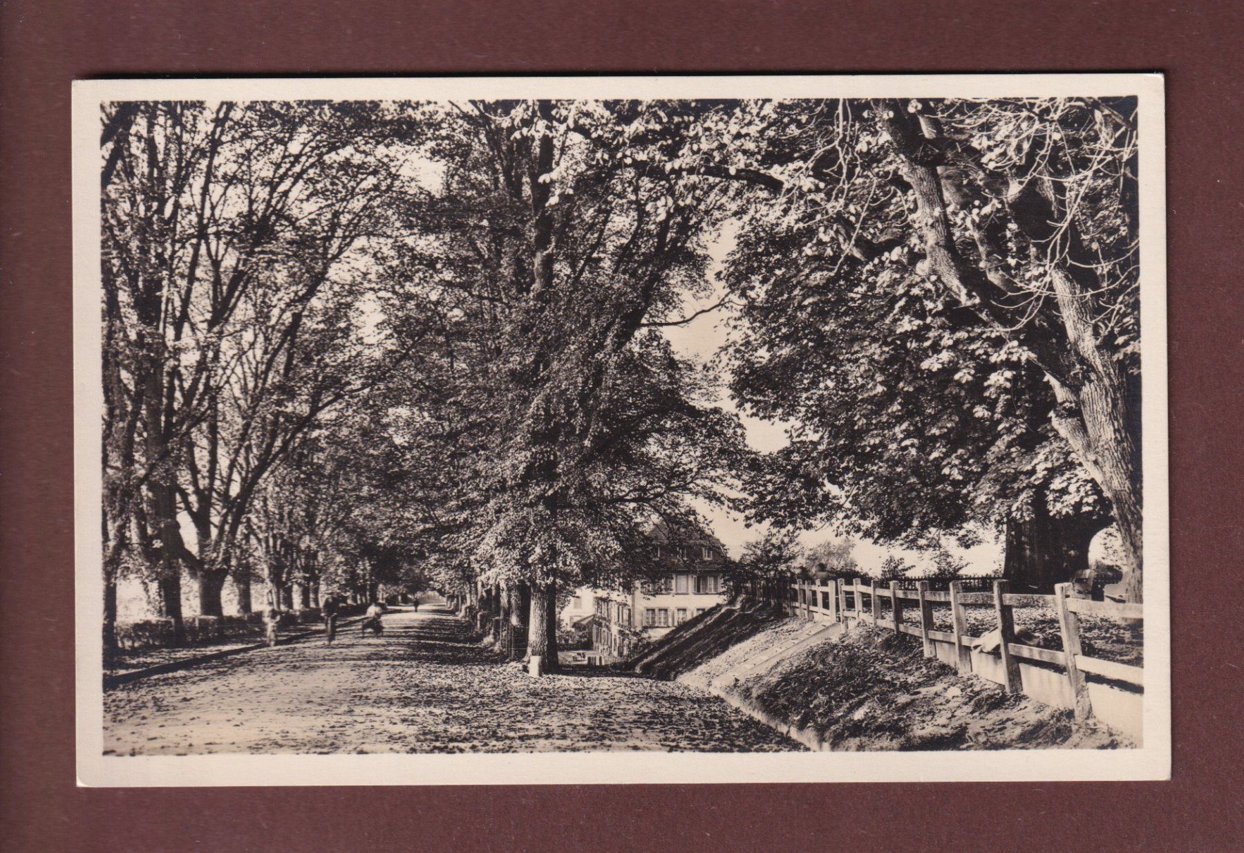 Cartoline postali: MURTEN - Schlossterrasse – Usato da Pully venduto da nicecards-shop