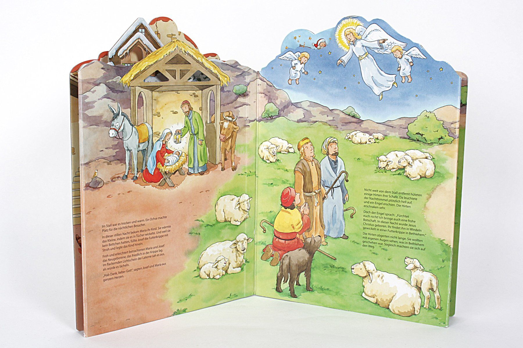 Libri: Buch "WIMMEL-PANORAMA Weihnachten" – Usato da Zollikofen venduto da Restwert_Zollikofen 3