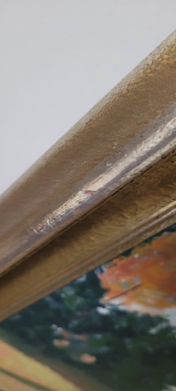 Dipinti: Ölgemälde G. Schilling                87x 76cm – Usato da Schönenwerd venduto da rosamanda 5
