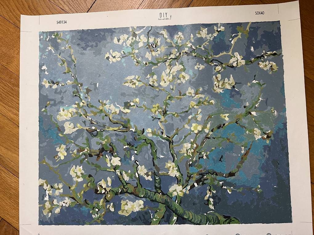 Foto & Immagini: Bild "Mandelblüte - Vincent van Gogh" nachgemalt – Usato da Bern venduto da iksworbmod 1