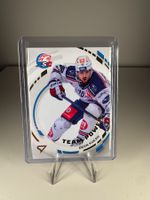 TP-01 Dean Kukan ZSC Lions TEAM POWER SportZoo