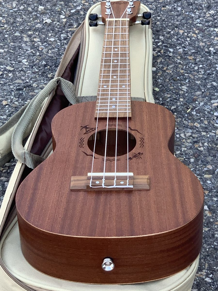 Strumenti musicali: UKULELE „Flight“ mit Tasche  – Usato da Wangen b. Olten venduto da Finolino28 7