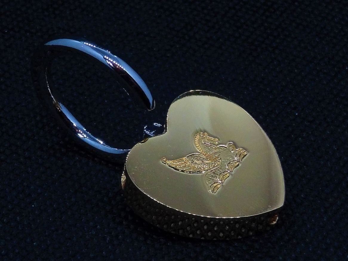 Swarovski Ciondoli: Anhänger mit Schloss-Funktion – Nuovo (secondo la descrizione) da Matten b. Interlaken venduto da kero71