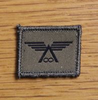 Fliegergeschwader Funktionsabzeichen Klett Armee XXI