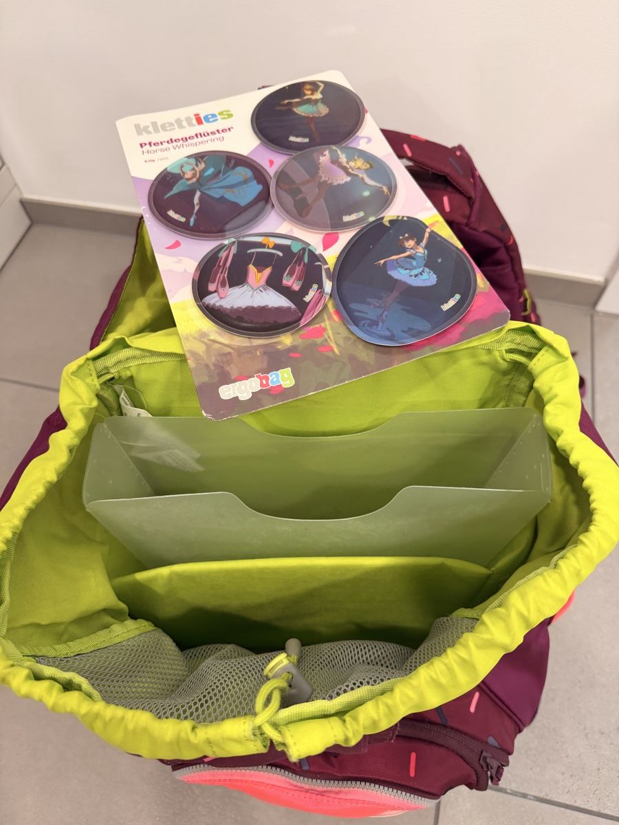 Ergobag Borse & Zaini: Ergobag Schulrucksack Set mit Zubehör – Usato da Kilchberg ZH venduto da 2nd.Life 2