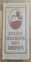 alte Relief Panorama Karte des Rheins, Nr. 6 Mainz-Köln