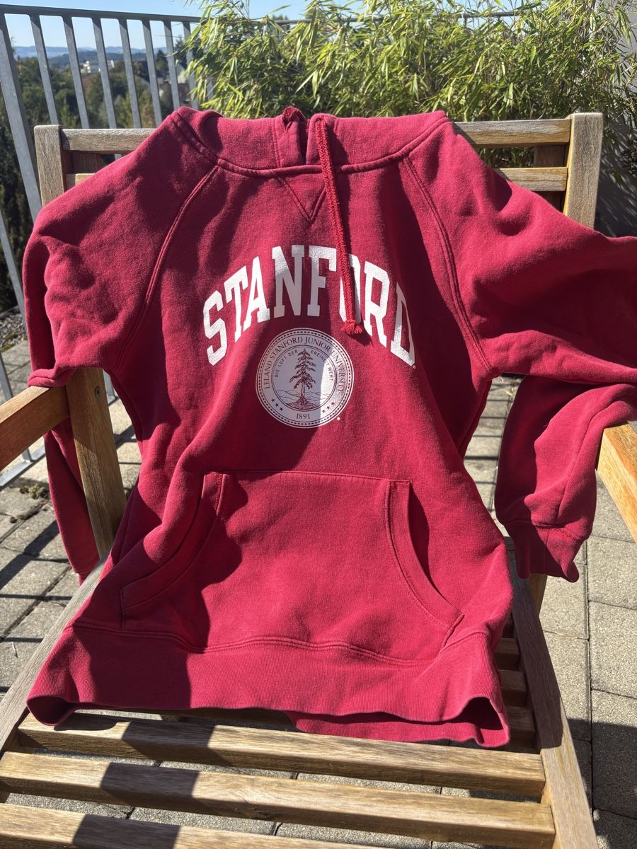 Champion Maglioni & Felpe: Original Stanford-Hoodie – Usato da Wetzikon ZH venduto da aku_gw6r