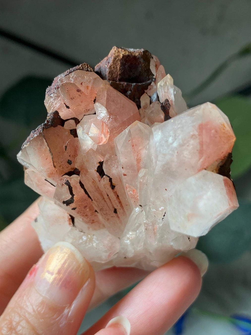 Mineralien & Heilsteine: Roter Quarz-Cluster (Gruppe) – Neu (gemäss Beschreibung) aus Neuheim von m.hald 5