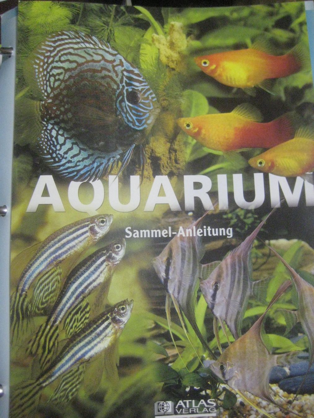 Libri: GROSSER SAMMEL  ORTNER  AQUARIUM – Nuovo (secondo la descrizione) da Uster venduto da flocke1 7