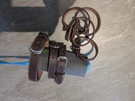 7 Leder Halsbänder braun mit Schnalle klein bis mittel