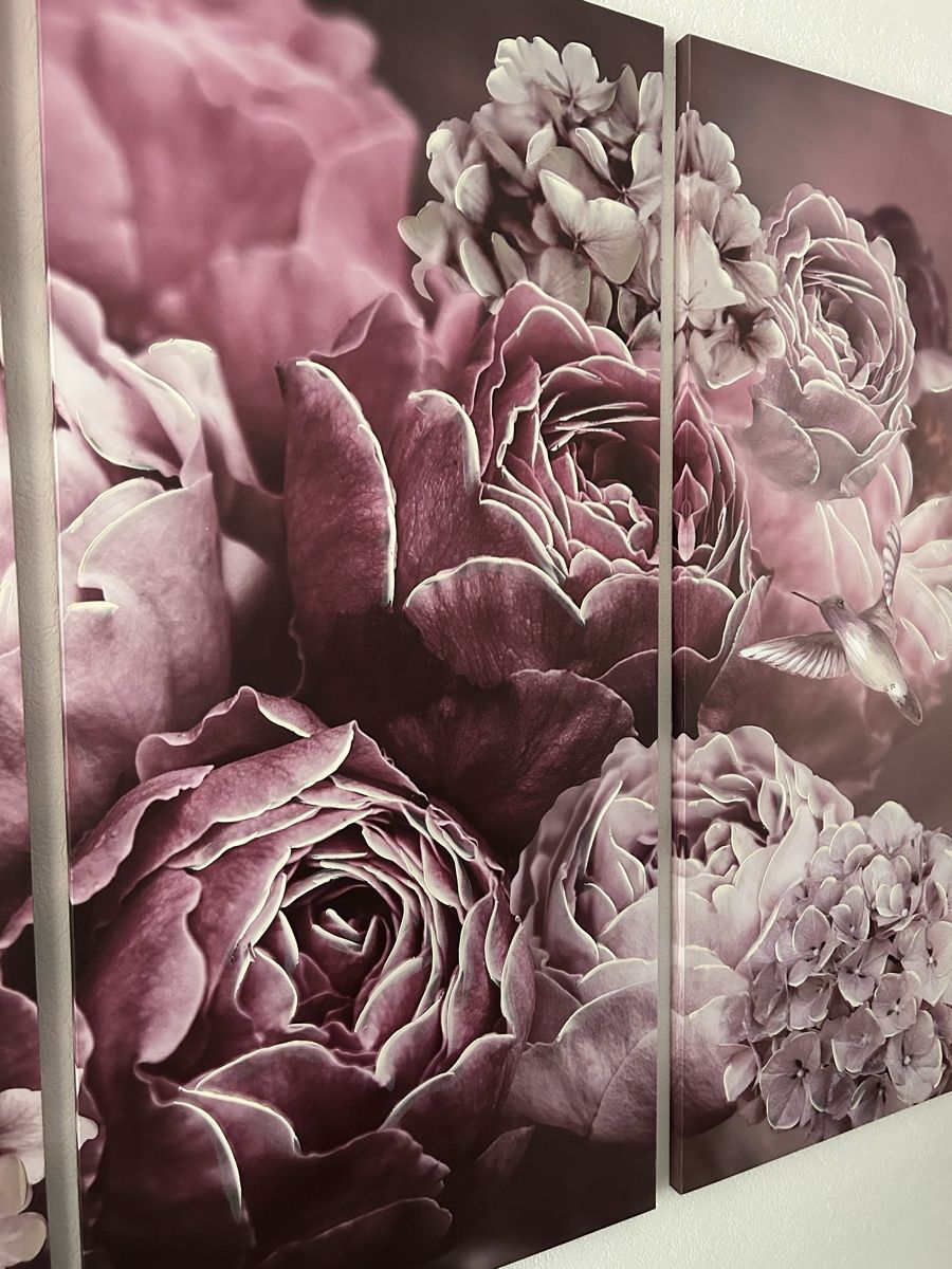 Foto & Immagini: XXL Bild Lila Rosen – Usato da Frick venduto da nikki09 2