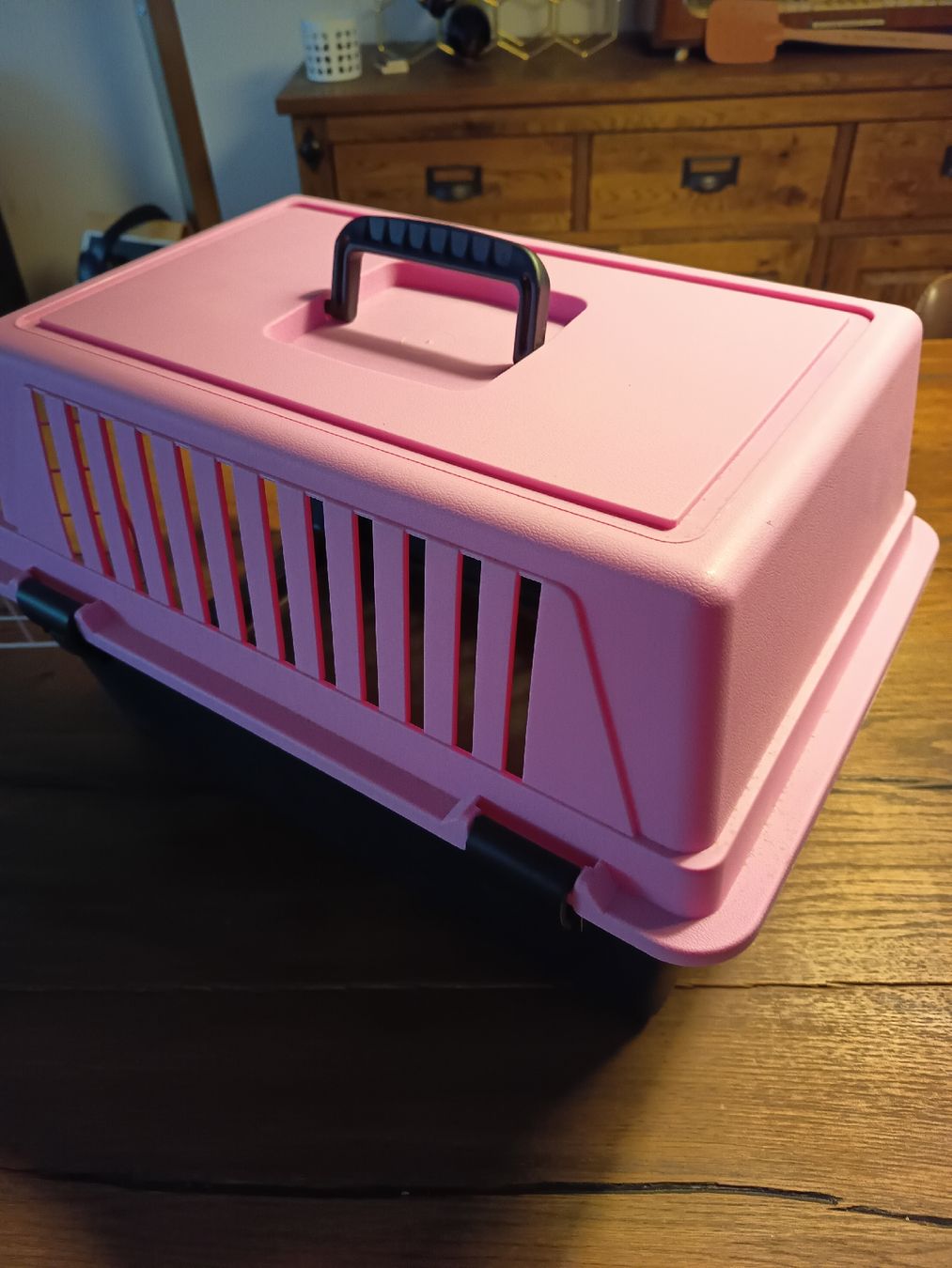 Gabbie, trasporto & Sicurezza: Katzen/Kleintier Transportbox  – Usato da Belp venduto da lamadefi12 3