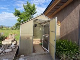 Gewächshaus 260 x 350 mit aut. Dachöffnung