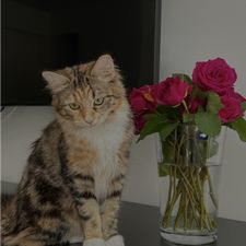 Profile image of fer_8d57