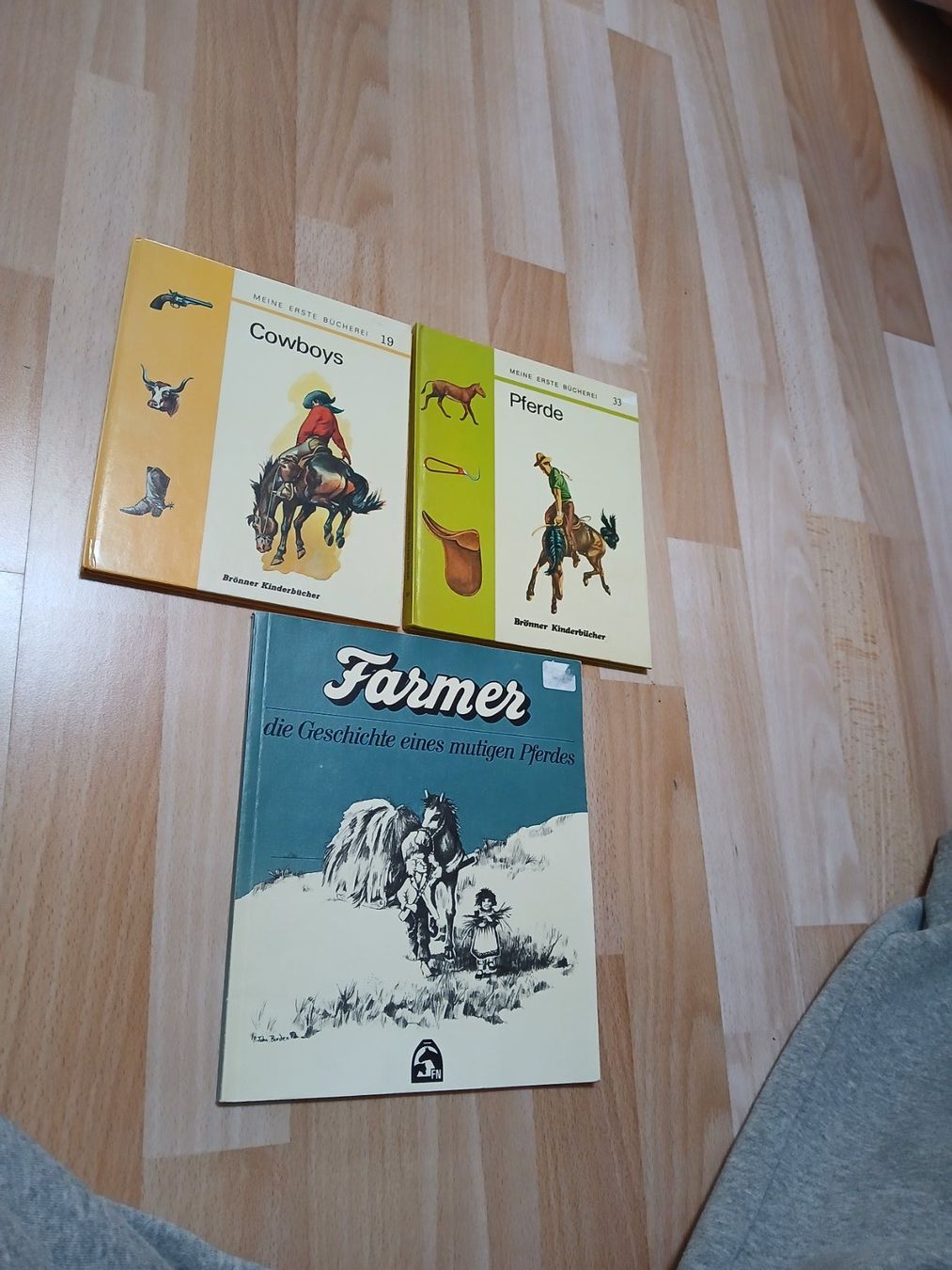 Libri: Pferde Kinderbücher – Usato da Bärschwil venduto da kik_c28v