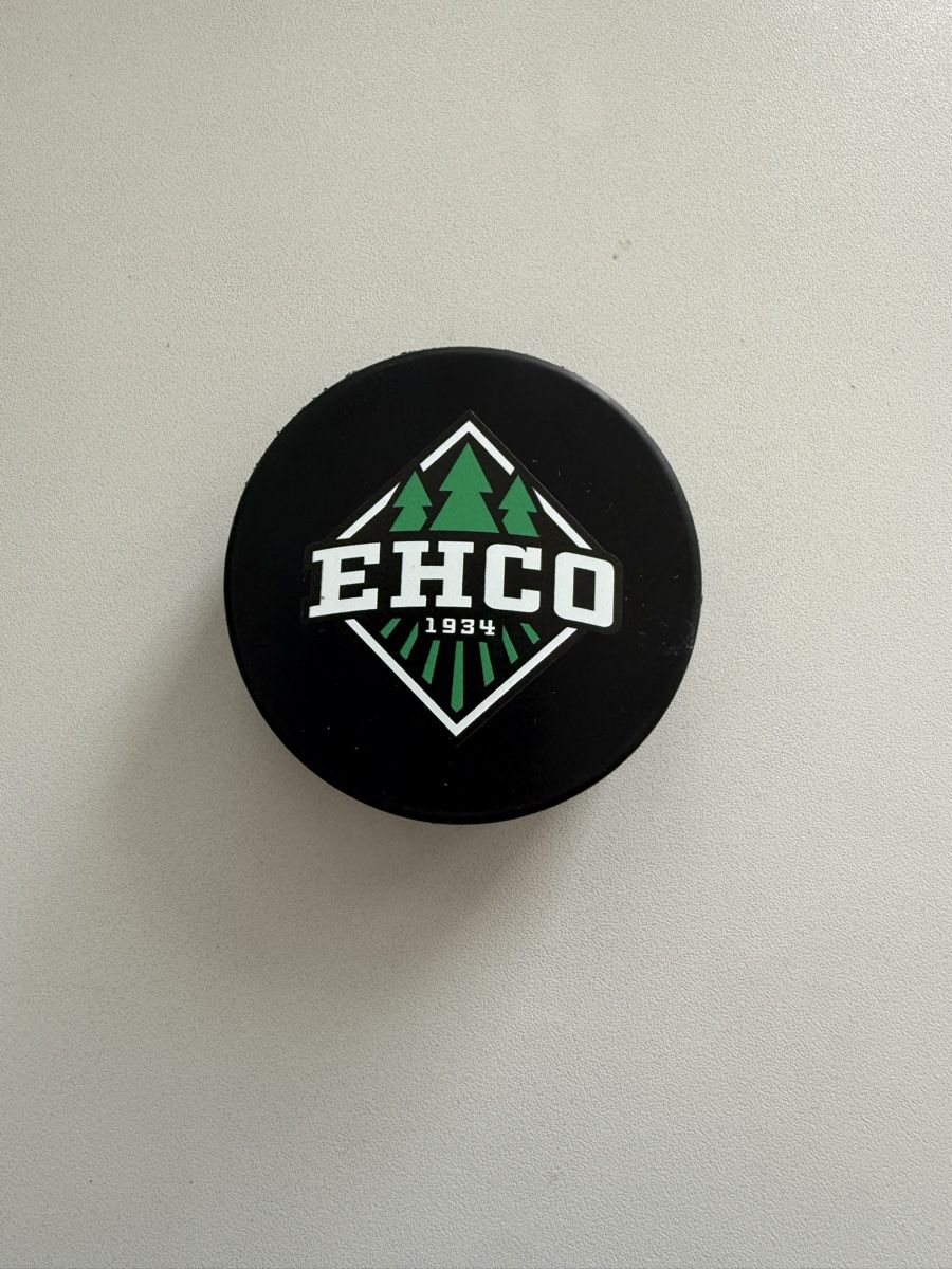 Palloni: Eishockey Puck EHC Olten – Nuovo (secondo la descrizione) da Veltheim AG venduto da N377Y