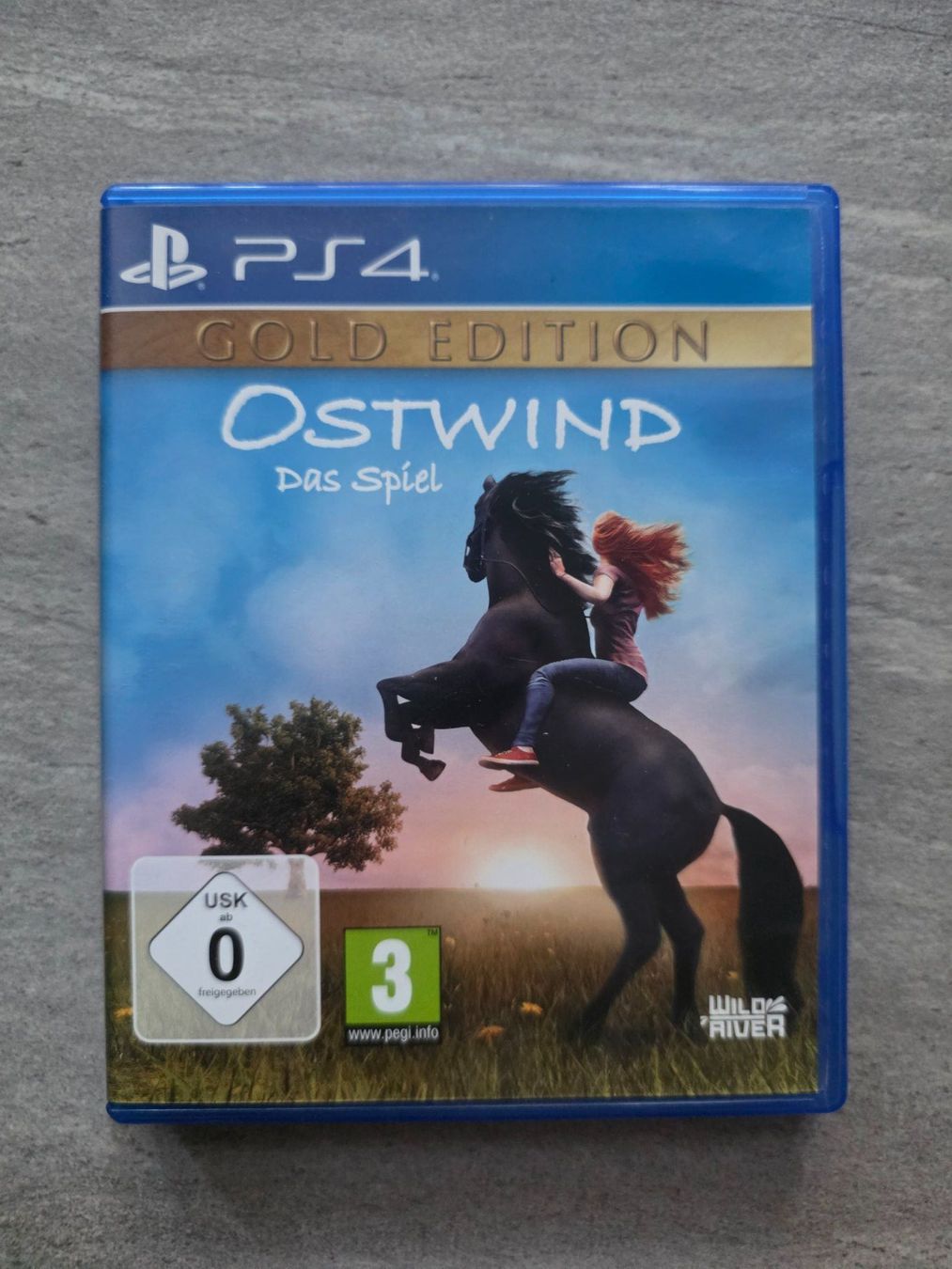 Sony Giochi: PS4 Game Ostwind Gold Edition – Usato da Münchenbuchsee venduto da RipiRip