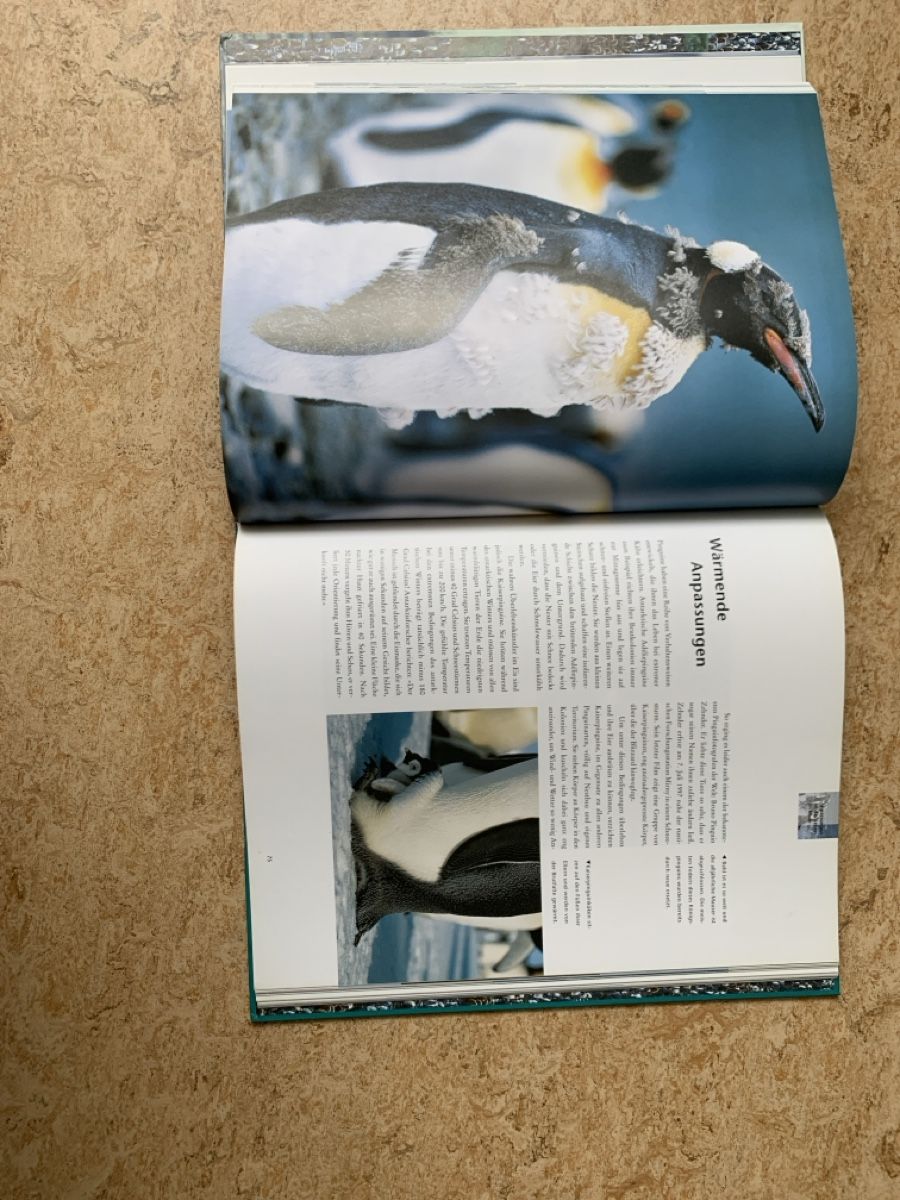 Libri: Buch Pinguine – Usato da Worb venduto da vivia_ne 2