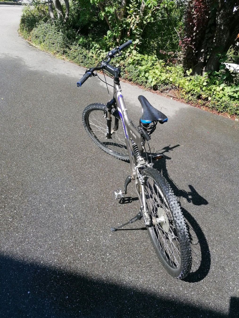Vélos: Mountainbike Fully – D'occasion à Flims Waldhaus par GPmike