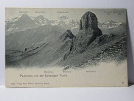 Panorama von der Schynigen Platte