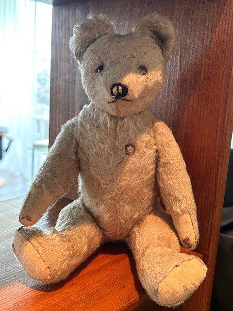Jouets: aLteR TeDDy – D'occasion à Winkel par zeho