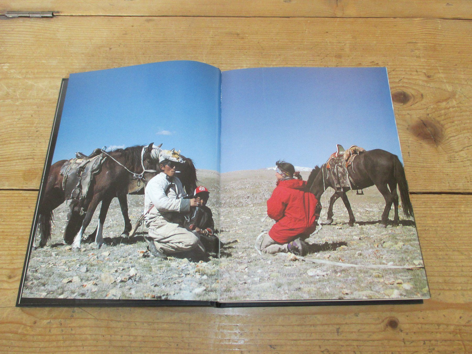 Bücher: Abenteuer Mongolei – Gebraucht aus Flims - Dorf von Stagediver 8