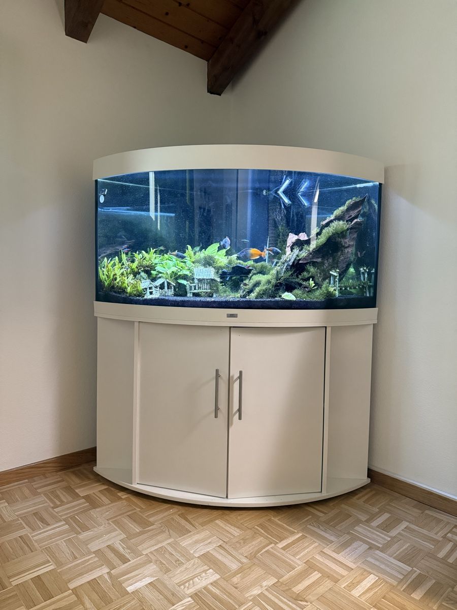 Juwel Aquarium: JUWEL Trigon 350 Liter – Gebraucht aus Berikon von MLukethe1st 6