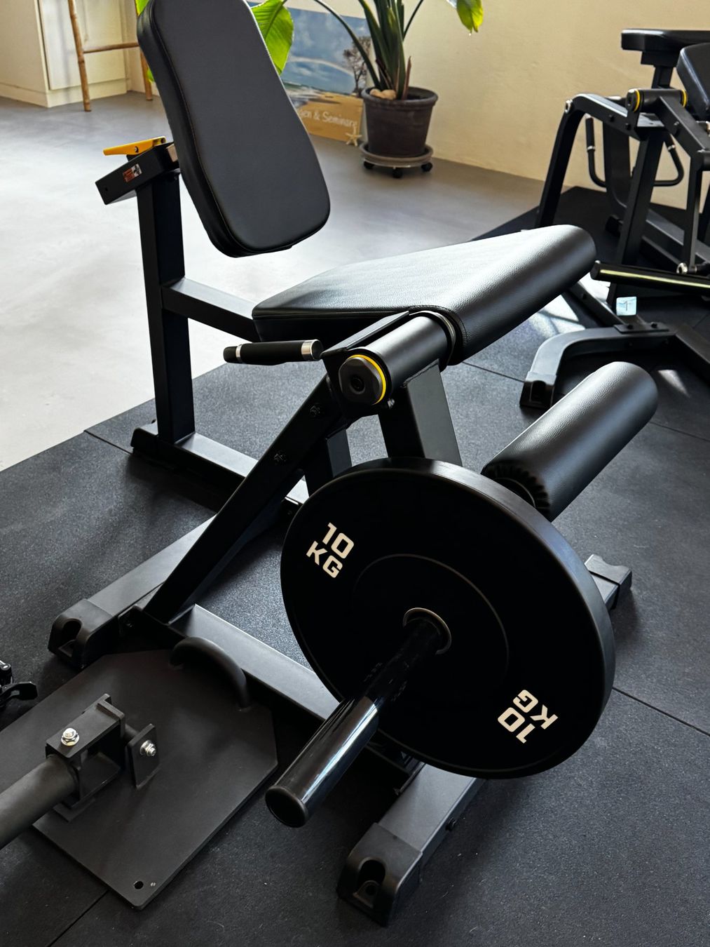 Hometrainer: Kraftgerät "Leg Extention" Oberschenkel - Beinstrecker – Neu (gemäss Beschreibung) aus Rüti ZH von HawaiiLove 2