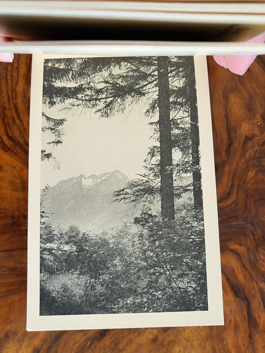 Cartoline postali: Alte Ansichtskarten von Buochs am Vierwaldstättersee! – Nuovo (secondo la descrizione) da Allschwil venduto da Uhrenbinz 5