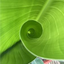 Profile image of swicaj