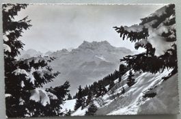 Paysage d' hiver et Dents du Midi (région de Leysin)