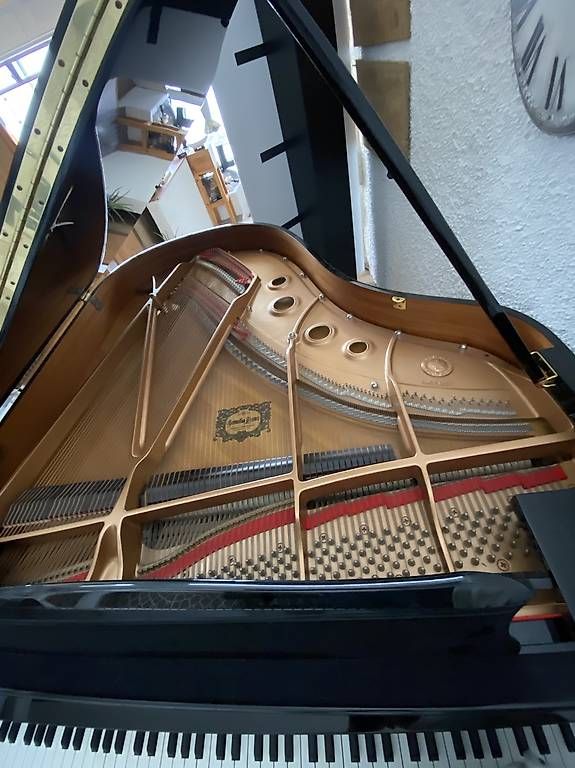 Strumenti musicali: Pianoforte Yamaha C3 – Usato da Melide venduto da gin_5hjk 1