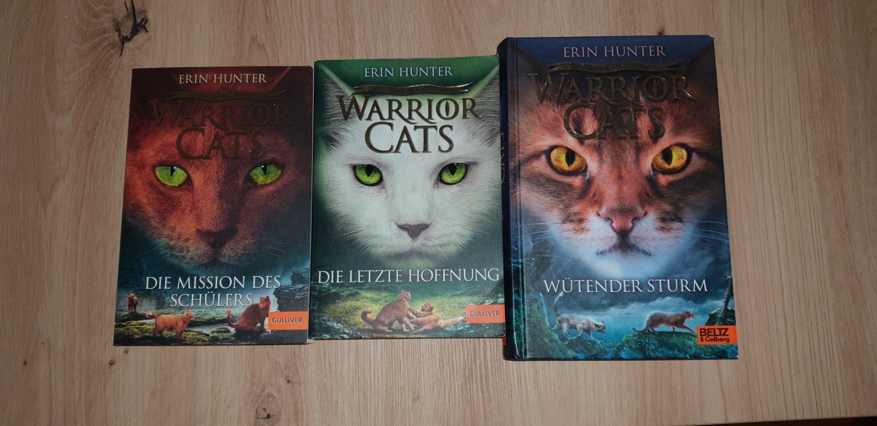 Libri: Warrior Cats Bucher – Usato da Ipsach venduto da Cleomara