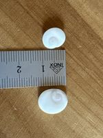 2 x Shivas Auge Muschel Deckel