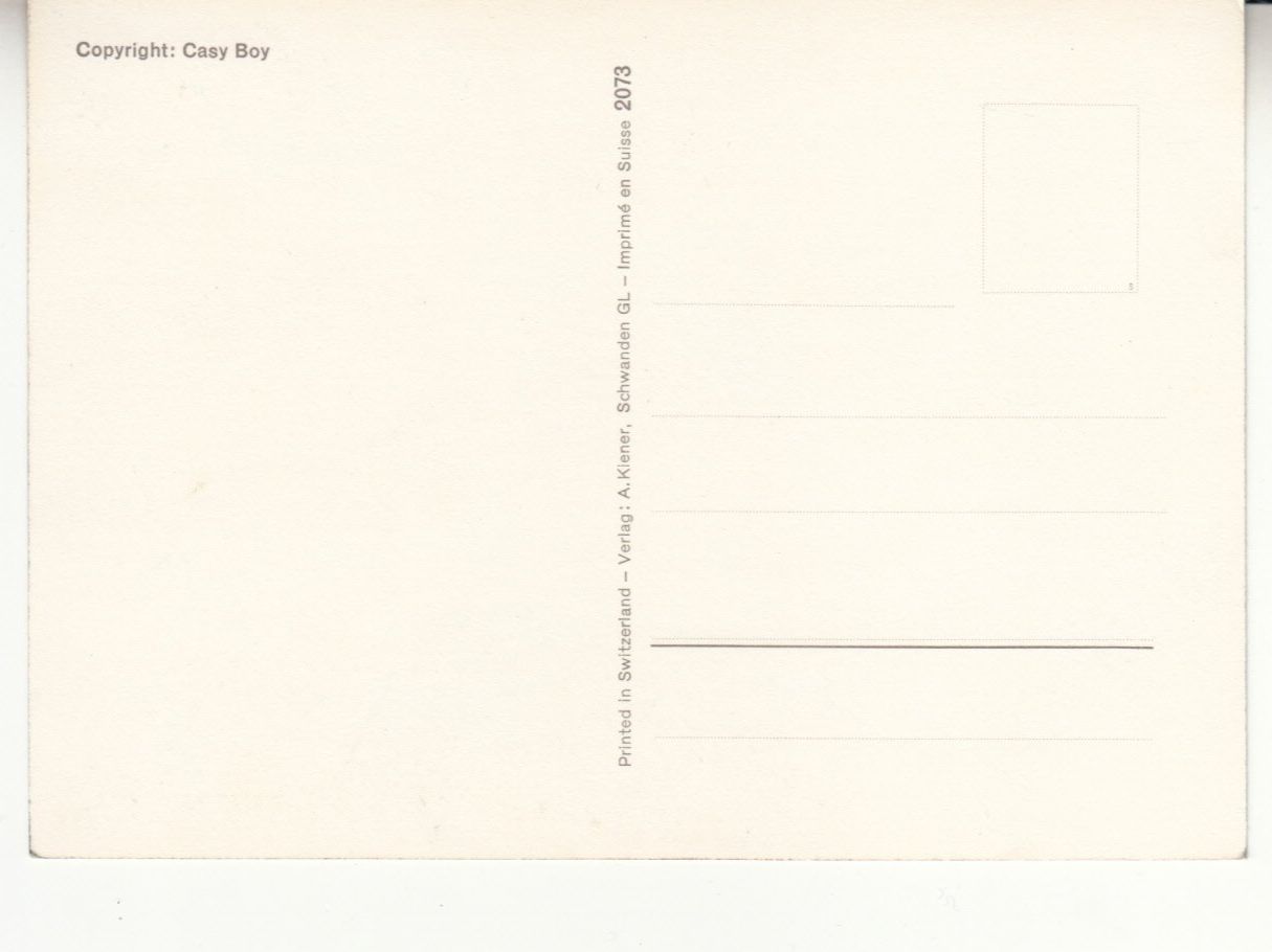 Cartoline postali: Humorkarte Kiener 2073 – Usato da Bürglen TG venduto da StampGraf 1