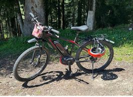 E- Bike Simplon