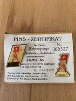 Pin Serie