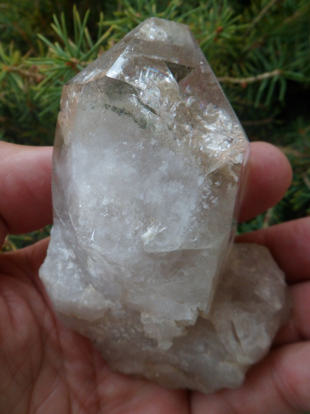 Minerali & Pietre curative: Bergkristall Schweiz 9 cm – Nuovo e nell'imballaggio originale da Affoltern am Albis venduto da Fossil60 5