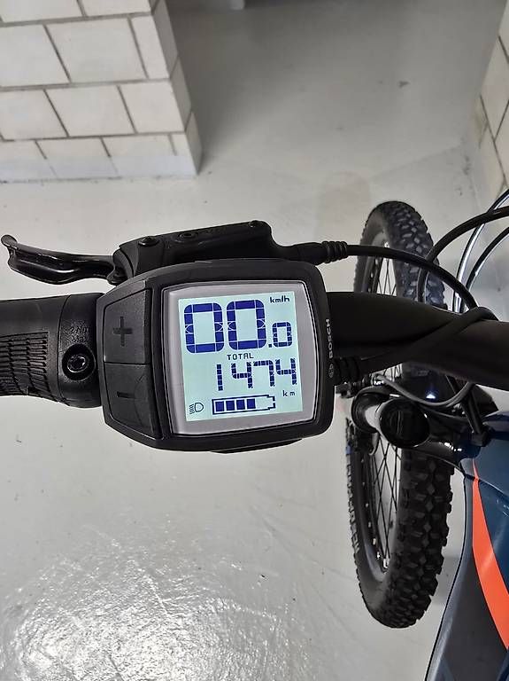 Bulls Biciclette: Bulls Aminga EVA, chrome petrol, 41 – Usato da Arch venduto da bir_7kmt 2