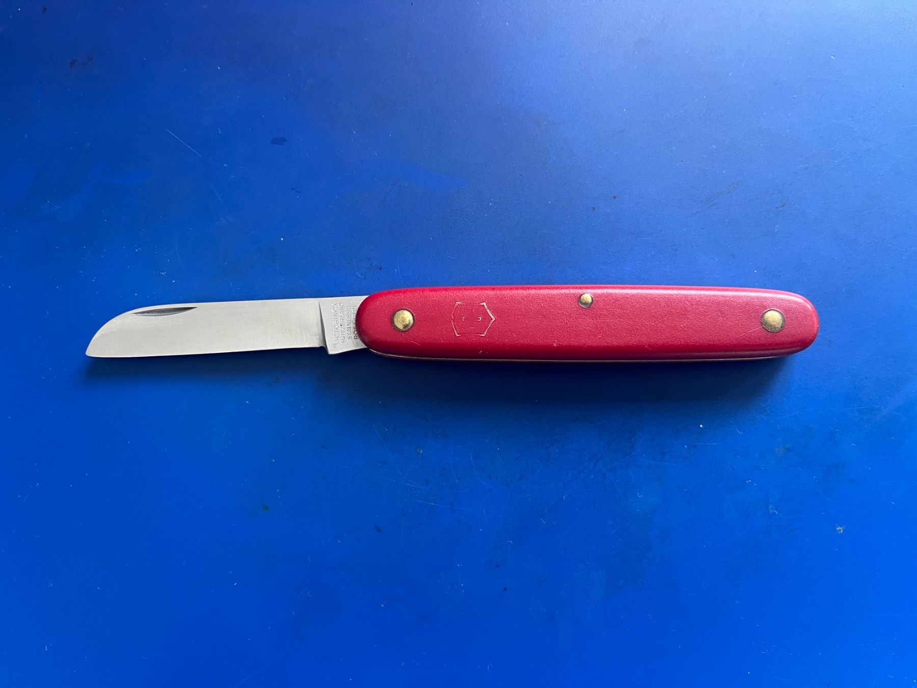 Victorinox Coltelli tascabile: Victorinox Blumen-Messer ungebrauchte Klinge – Usato da Dintikon venduto da Redgar58