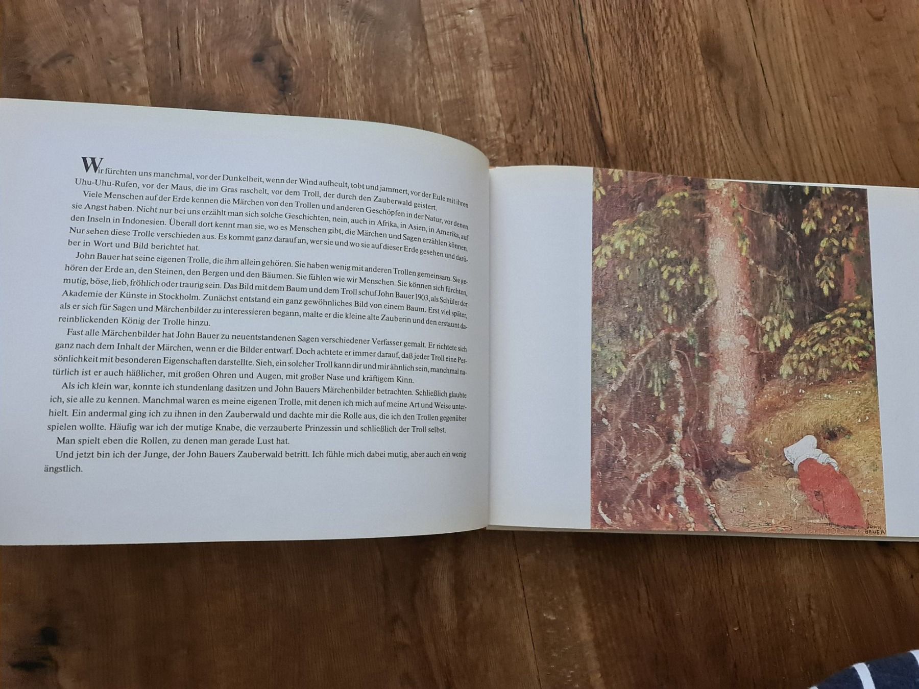 Libri: Zauberwald buch – Usato da Wittenbach venduto da Tigerlili 7